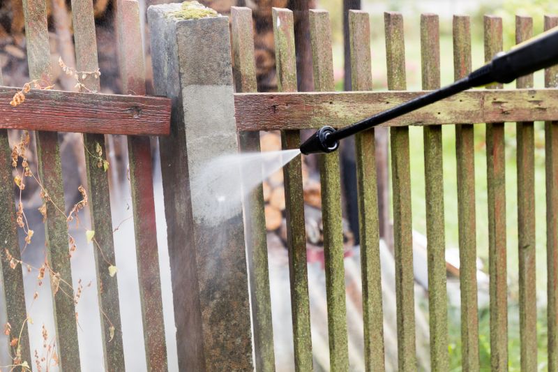 Fence Cleaning Services