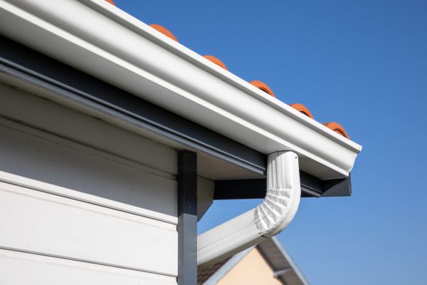 Roofline Cleaning in Gainesville
