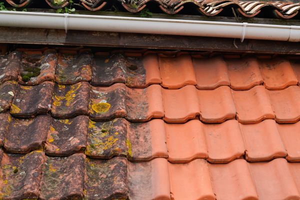 Cost of Industrial Roof Cleaning in Gainesville